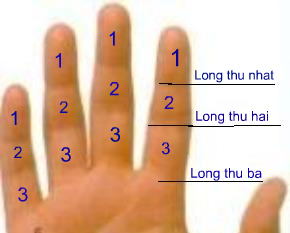Lóng Tay Là Gì?