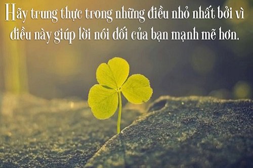 Danh ngôn về lòng trung thực: Những câu nói truyền cảm hứng Gallery 2