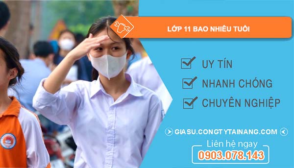 Lớp 11 Năm Nay Bao Nhiêu Tuổi?
