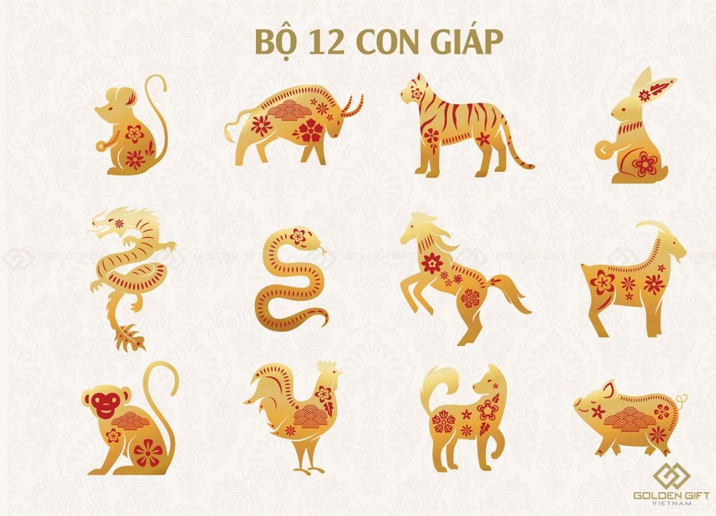 Lớp 5 Tuổi Con Gì?