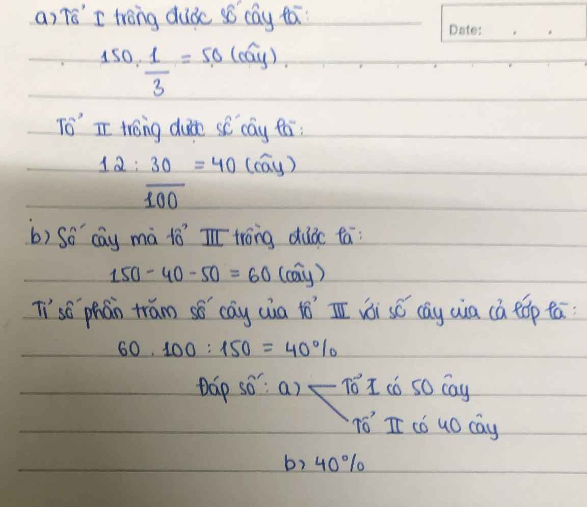 Lớp 6A chia làm 3 tổ như thế nào?