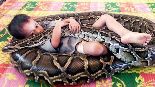 Lọt thỏm là gì?