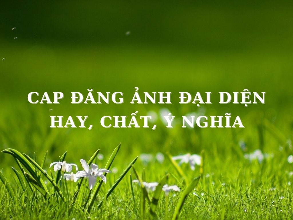 Chọn Ảnh Đại Diện Hoàn Hảo: Hướng Dẫn Chi Tiết Gallery 1