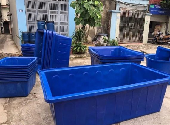 Bể Nhựa Nuôi Cá: Lựa Chọn Hoàn Hảo Cho Ngôi Nhà Của Bạn Gallery 2