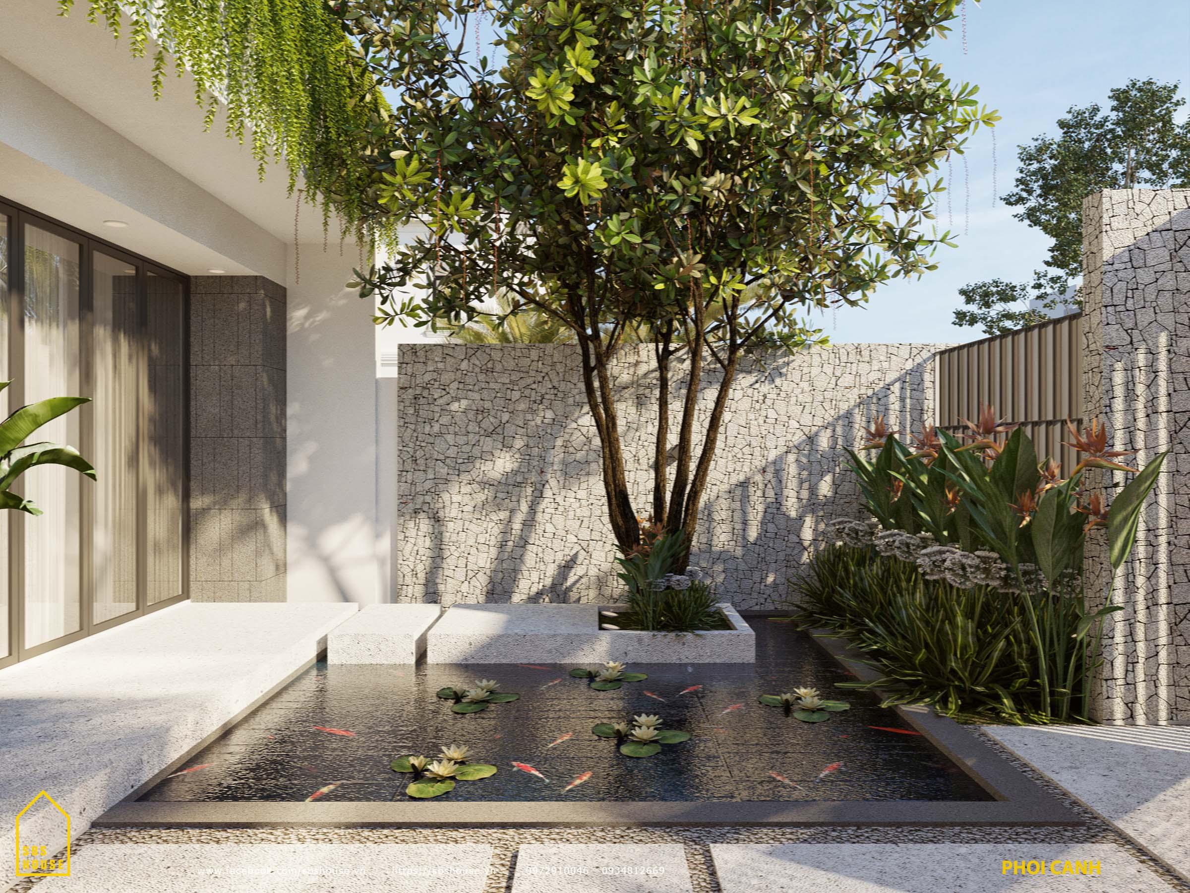 Cây Trồng Chậu Trước Nhà: Làm Đẹp Ngôi Nhà Và Tạo Không Gian Xanh Gallery 1