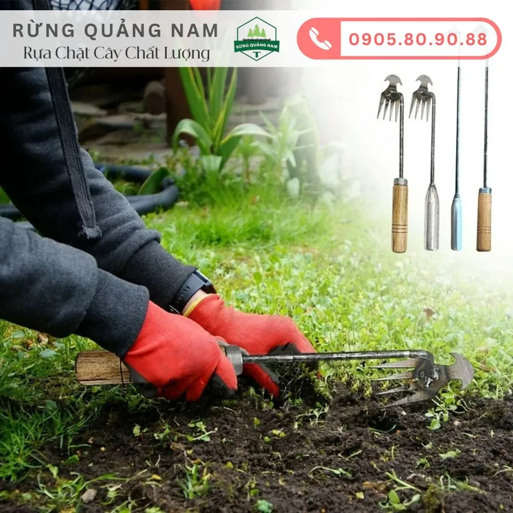 Dụng cụ làm cỏ vườn hiệu quả và tiết kiệm thời gian Gallery 2