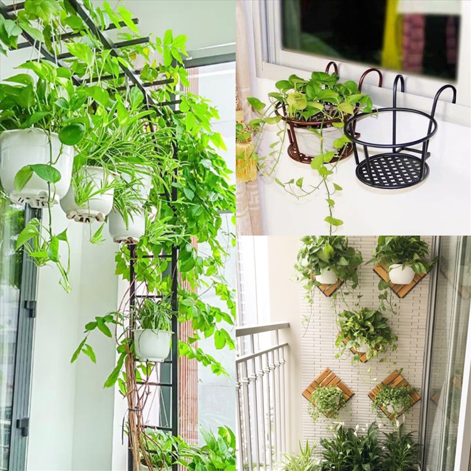 Giàn Treo Cây Ban Công: Tận dụng không gian nhỏ, tô điểm vẻ đẹp ngôi nhà Gallery 1