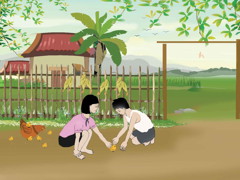 Giậu Phơi Là Gì? Gallery 2