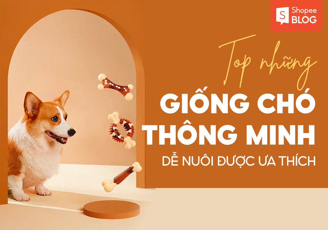 Giống Chó Thông Minh Dễ Nuôi Gallery 2