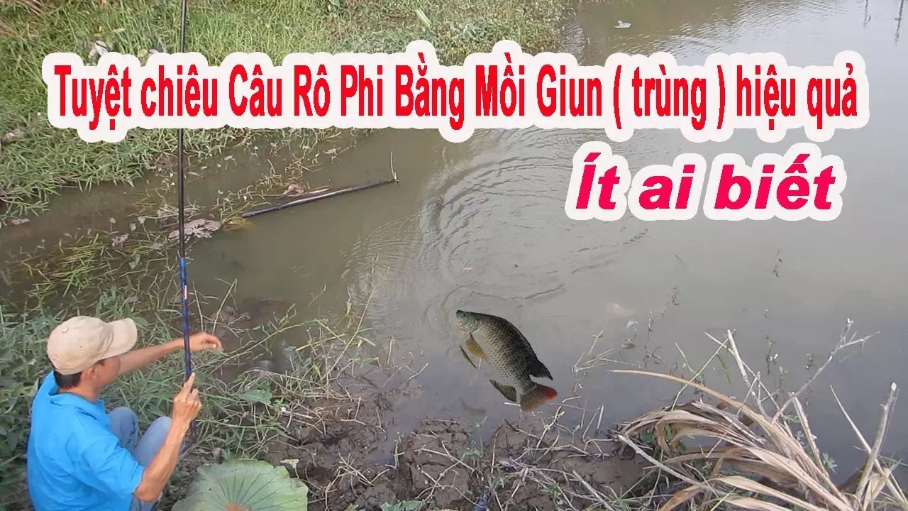 Mồi Giun Câu Cá Gì? Gallery 2