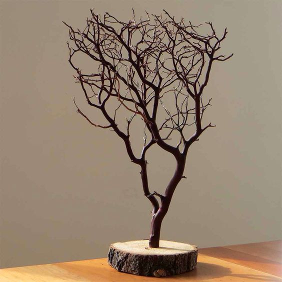Gốc Cây Khô Làm Cảnh: Mang Vẻ Đẹp Hoang Dã Vào Không Gian Sống Gallery 1