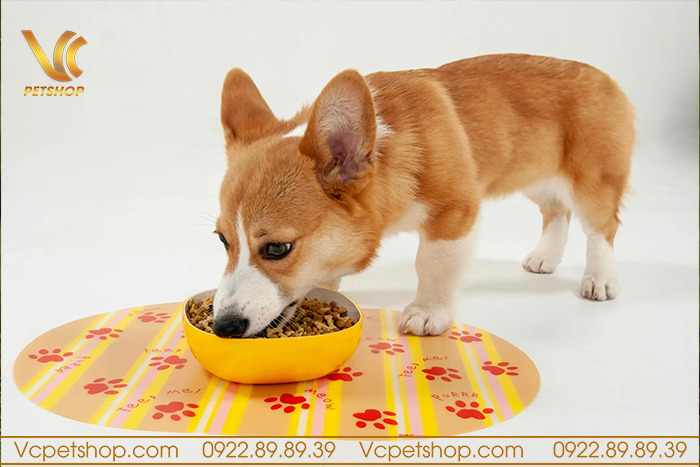 Hạt Cho Chó Corgi Gallery 1