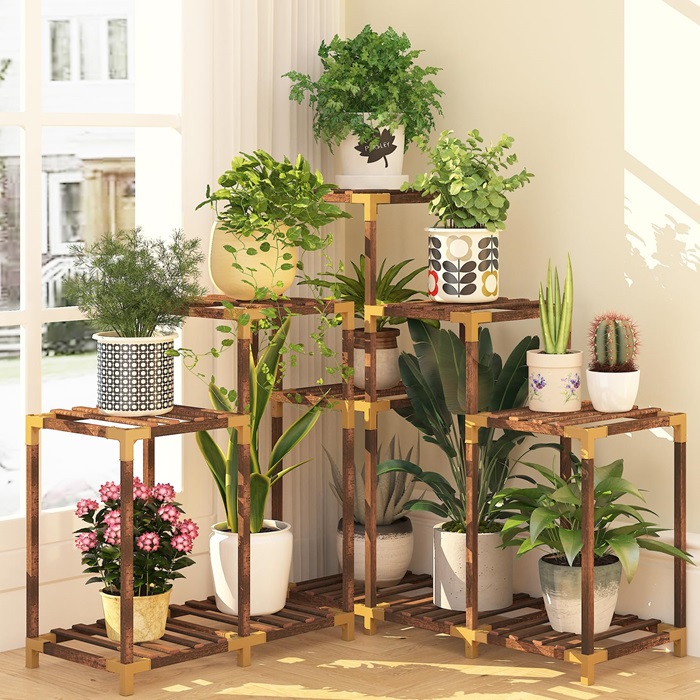 Kệ Gỗ Để Cây: Giải Pháp Hoàn Hảo Cho Ngôi Nhà Xanh Của Bạn Gallery 2