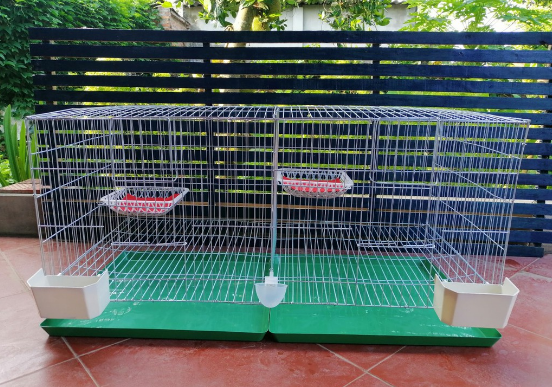 Bồ câu bao nhiêu cc? Gallery 2