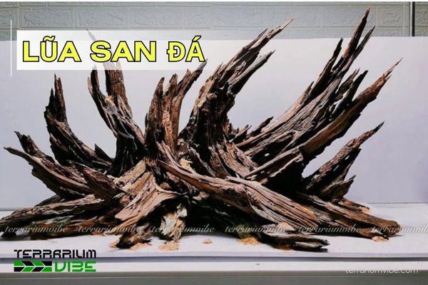 Lũa San Đá Cành: Bí quyết tạo điểm nhấn cho không gian sống của bạn Gallery 1