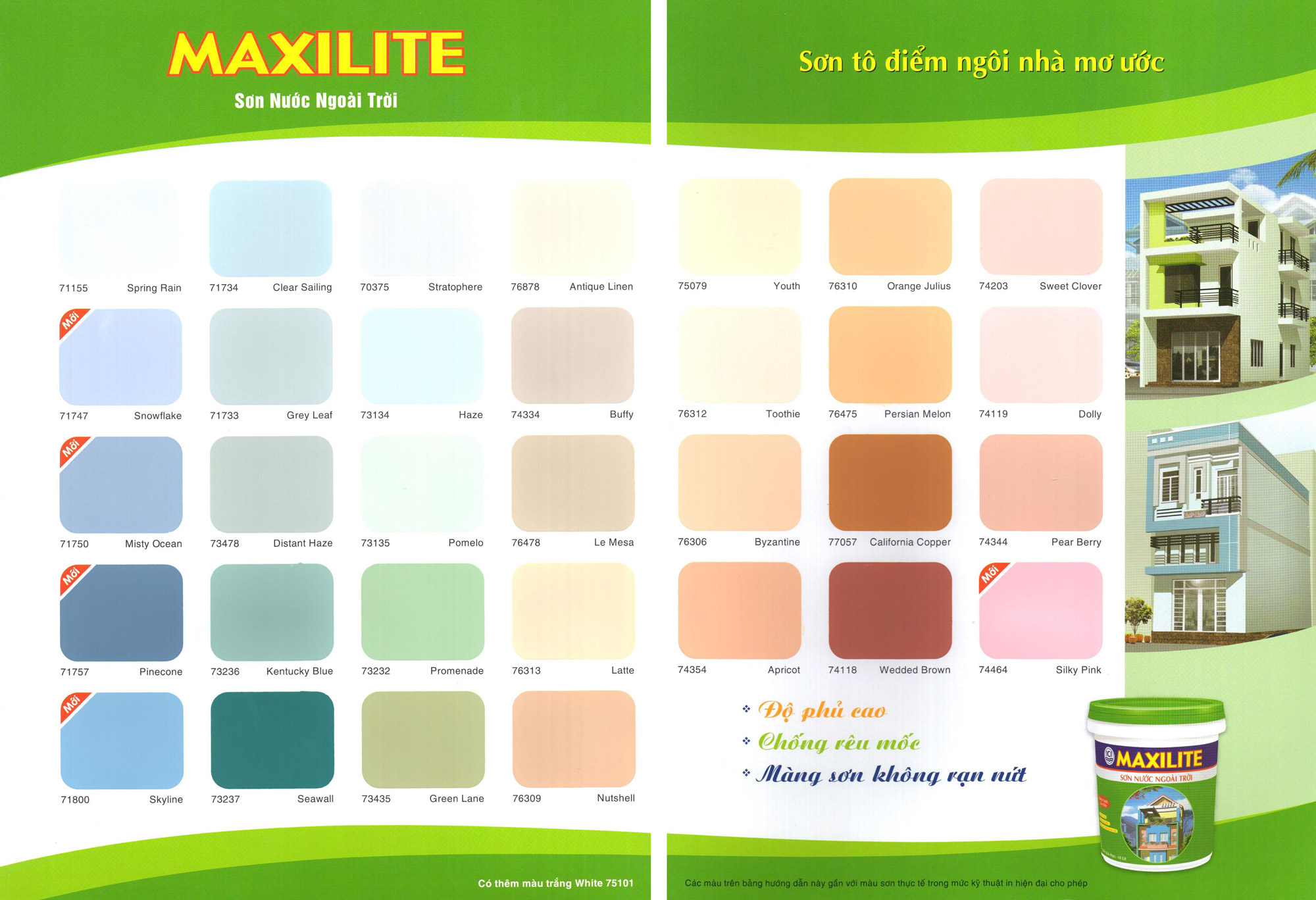 Bảng Màu Vẽ Quét Tường Gallery 2