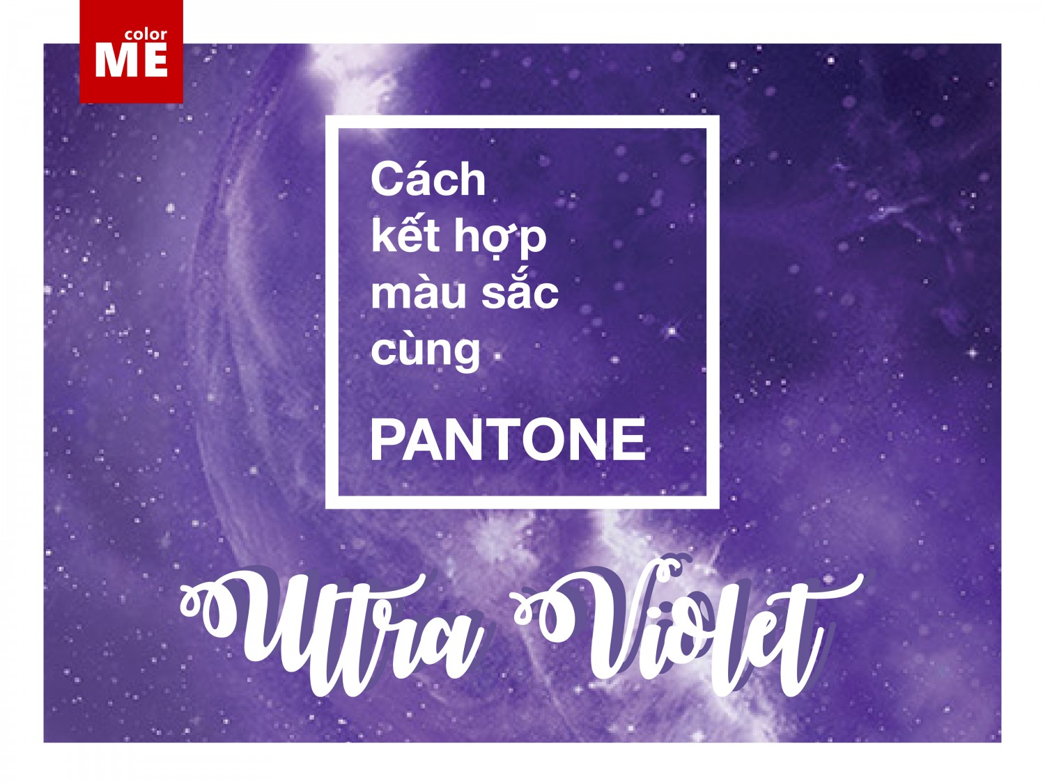 Mẫu Bìa Đẹp Violet