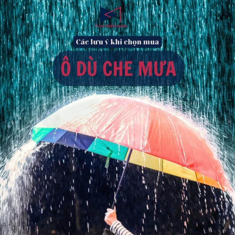 Ô Dù Che Mưa: Giữ Bạn Khô Ráo Dưới Mưa Gallery 1