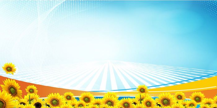 Phông Nền Hội Nghị Powerpoint: Nguồn Tài Nguyên Tuyệt Vời Cho Bài Thuyết Trình Của Bạn Gallery 2