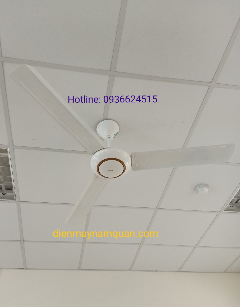 Quạt Trần Phong Lan 3 Cánh - Giải Pháp Làm Mát Hiệu Quả Gallery 2