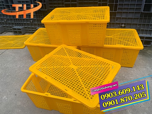 Rổ nhựa đựng trái cây - Giữ trái cây tươi ngon, tiện lợi và an toàn Gallery 2