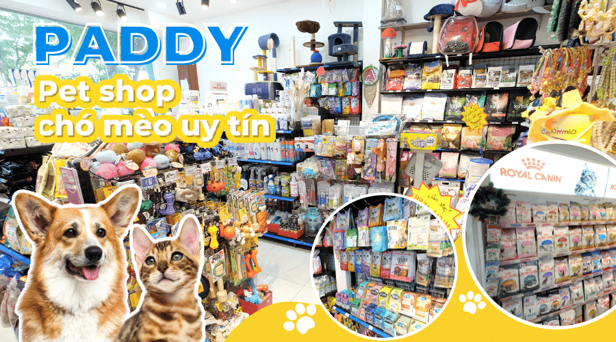 Shop Chó Mèo Gần Đây Gallery 2