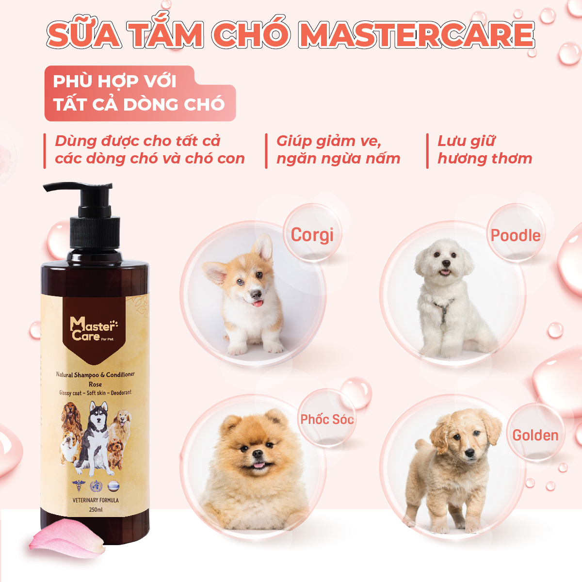 Sữa Tắm Cho Chó Con: Lựa Chọn An Toàn Và Hiệu Quả Gallery 1