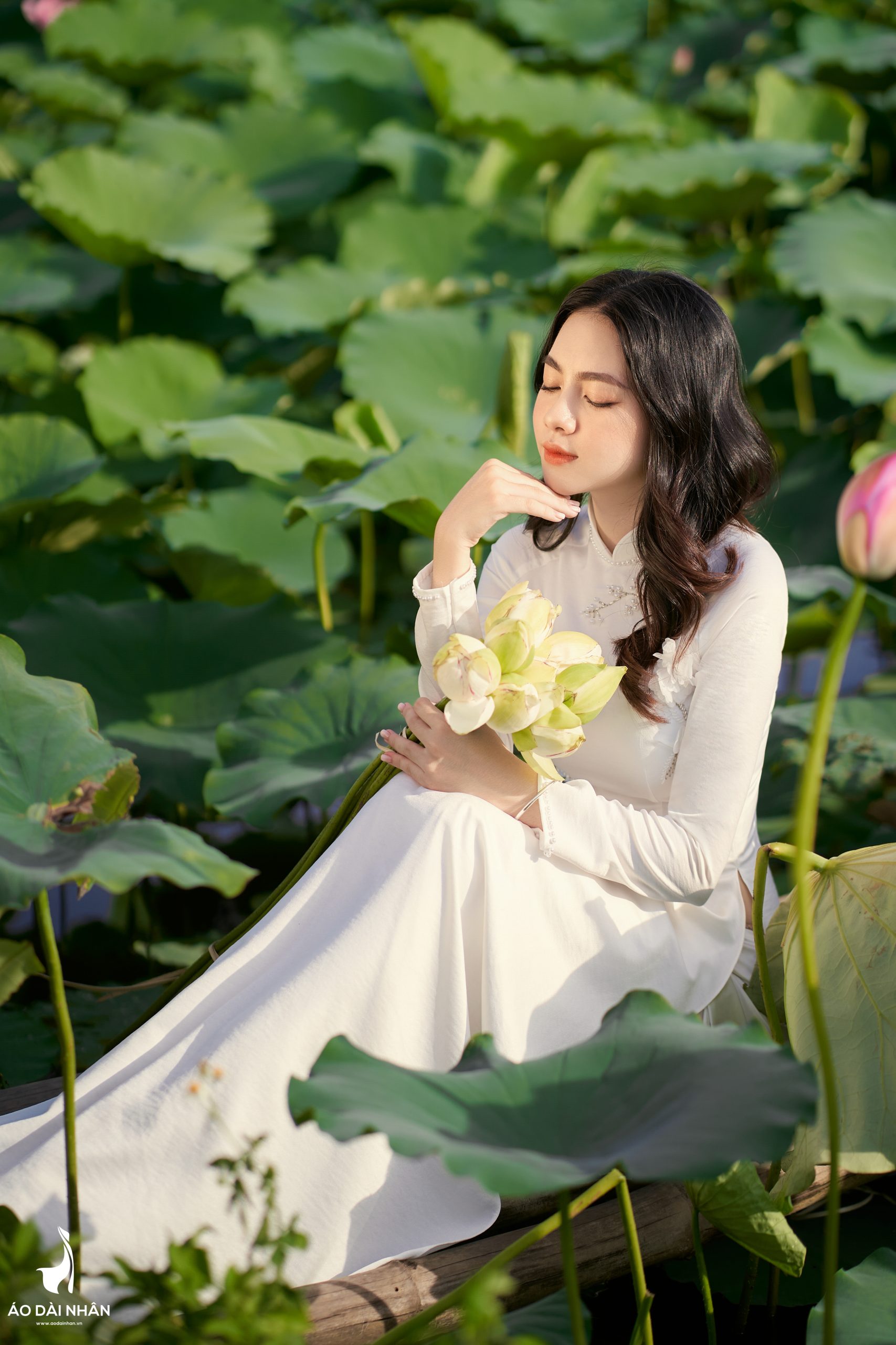 Những Bí Kíp Chụp Ảnh Sen Đẹp Lung Linh Mà Bạn Nên Biết Gallery 1