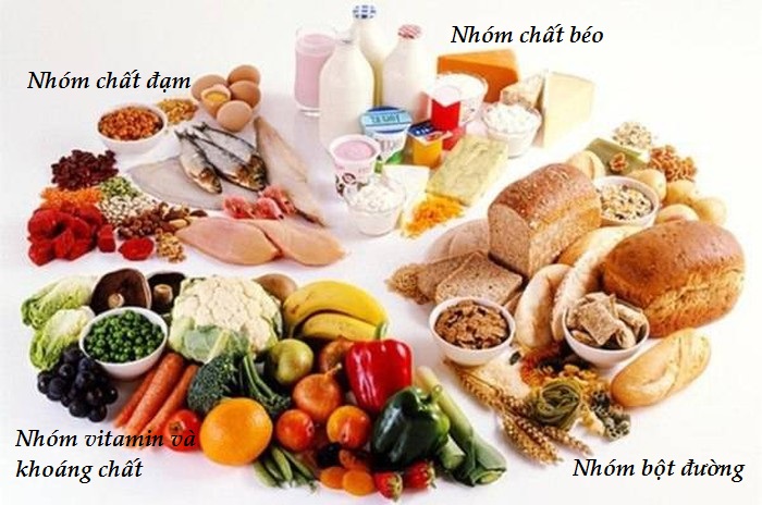 Bữa Ăn Dinh Dưỡng Hợp Lý: Bí Quyết Sức Khỏe Vững Mạnh Gallery 1