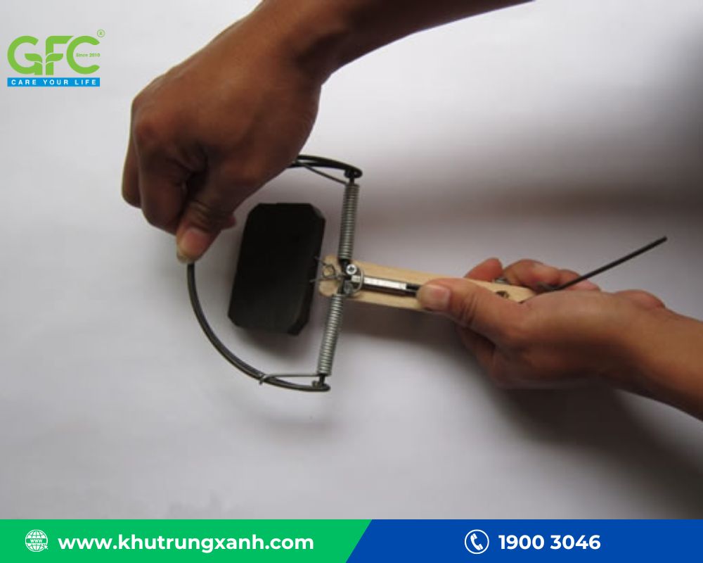 Cách Sử Dụng Bẫy Chuột Kẹp Hiệu Quả Gallery 1