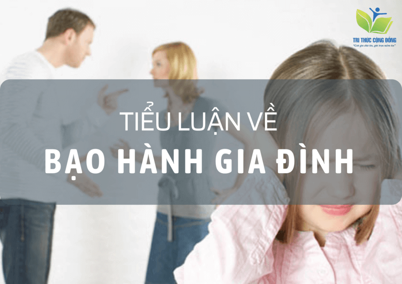 Luận Văn Nghiên Cứu Về Bạo Hành Gia Đình: Nguyên Nhân, Hậu Quả Và Giải Pháp