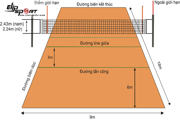 Luật Bóng Chuyền Hội