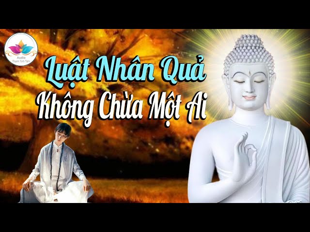 Luật Nhân Quả Không Chừa Một Ai
