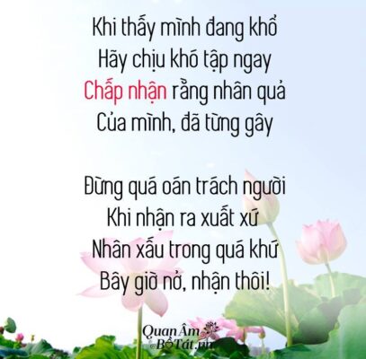 STT Luật Nhân Quả Hay và Ý Nghĩa Gallery 1