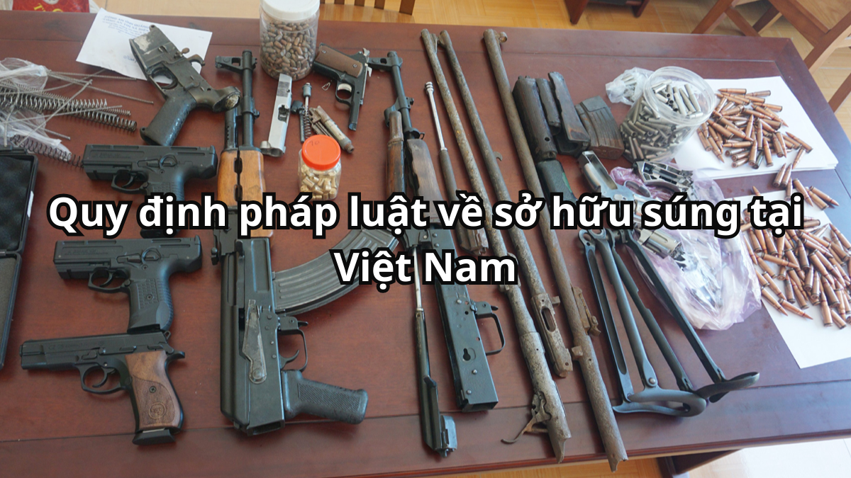 Súng Ai Được Phép Sử Dụng? Quyền Danh Cho Em Gallery 1