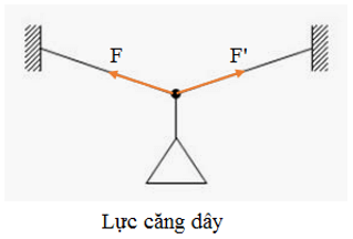 Lực đàn hồi xuất hiện khi nào?