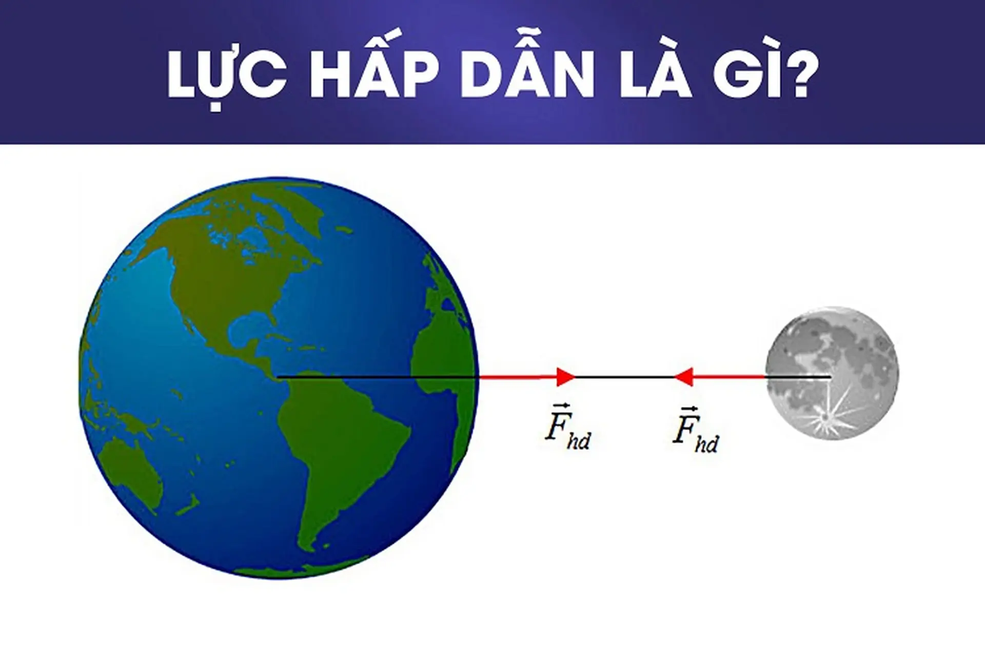 Lực Hấp Dẫn của Trái Đất Là Gì?
