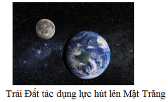 Lực Hút Trái Đất Là Bao Nhiêu?