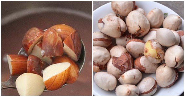 Luộc hạt mít bao lâu thì chín?
