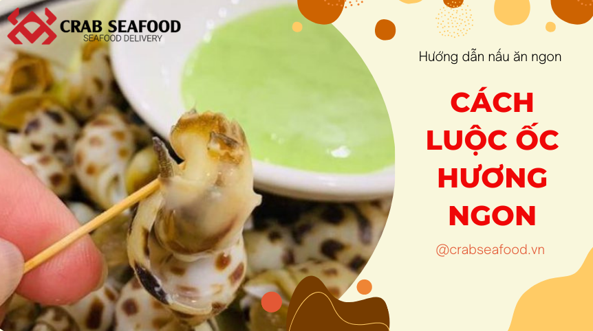 Luộc Ốc Hương Mấy Phút?