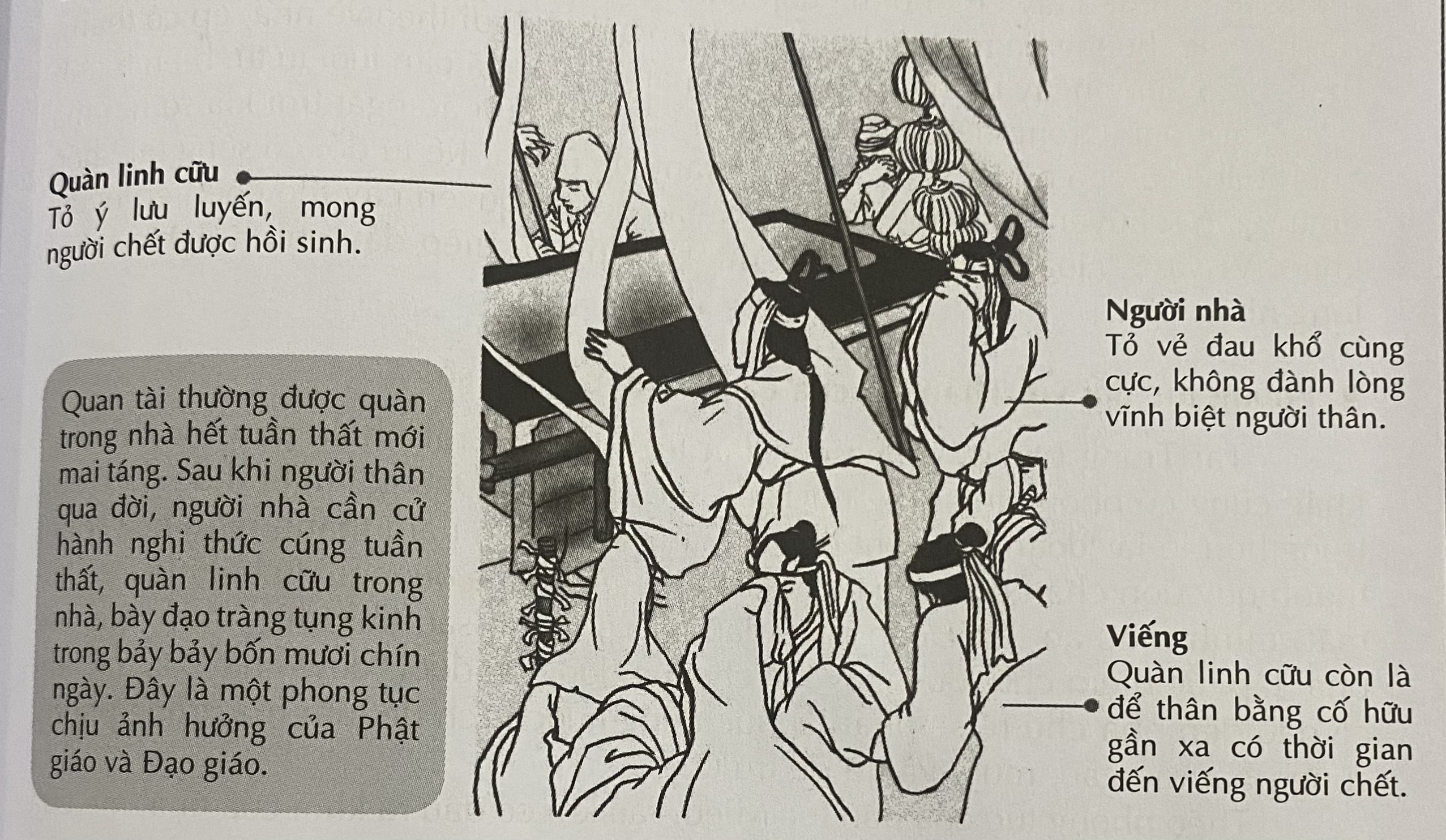 Lưu cữu là gì?
