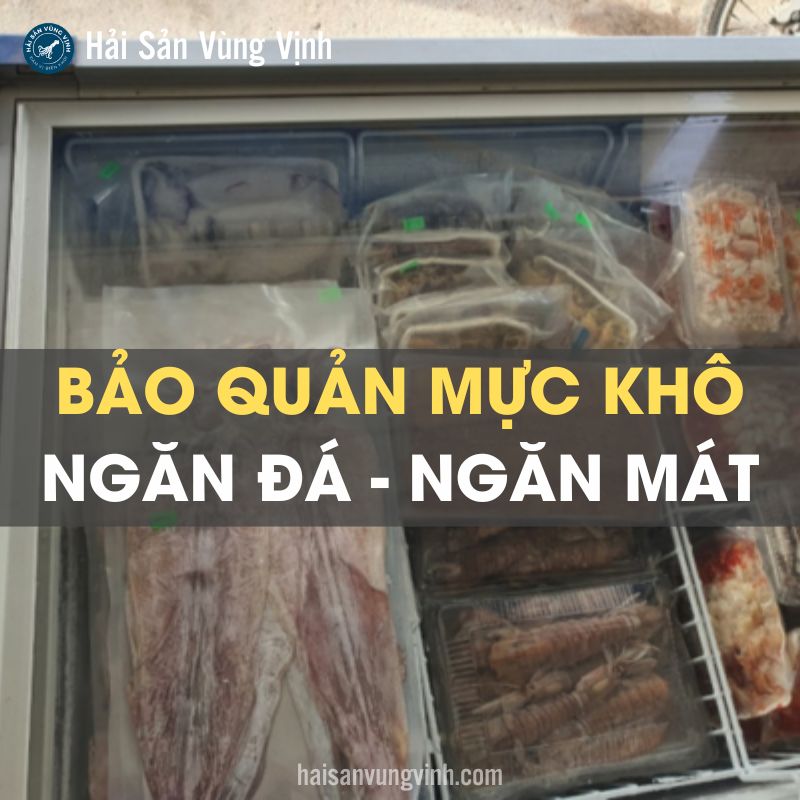 Mực Khô Để Ngăn Đá Hay Ngăn Mát? Gallery 2