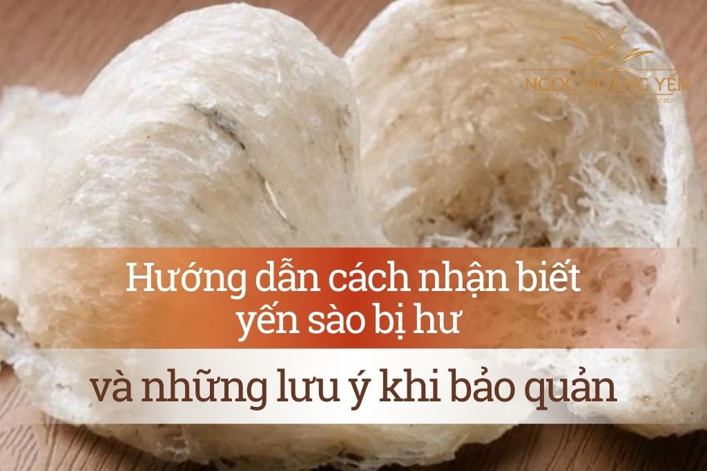 Cách Nhận Biết Yến Chưng Bị Hư Gallery 2
