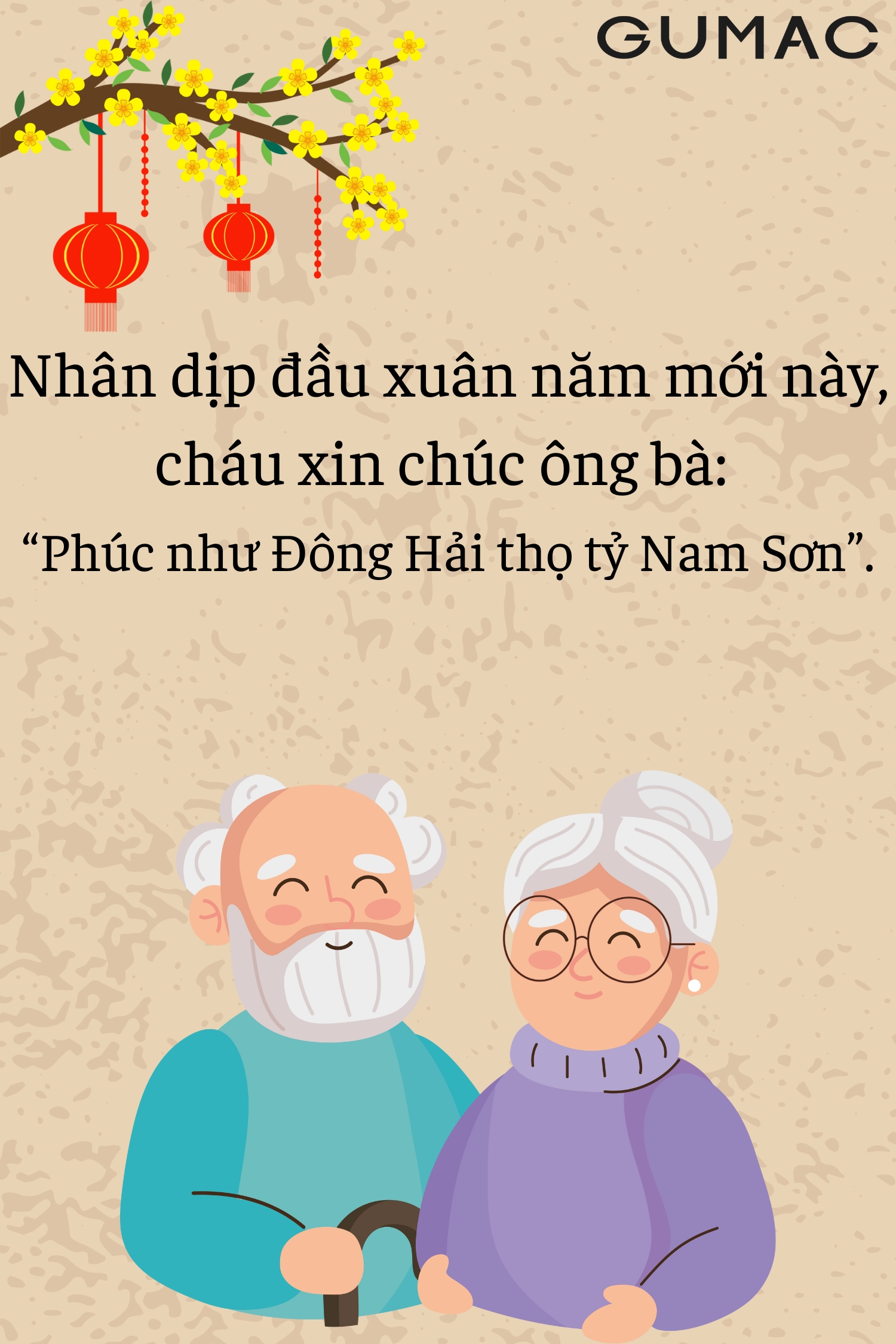 Câu Chúc Tết Ngắn Gọn Ý Nghĩa Gallery 2