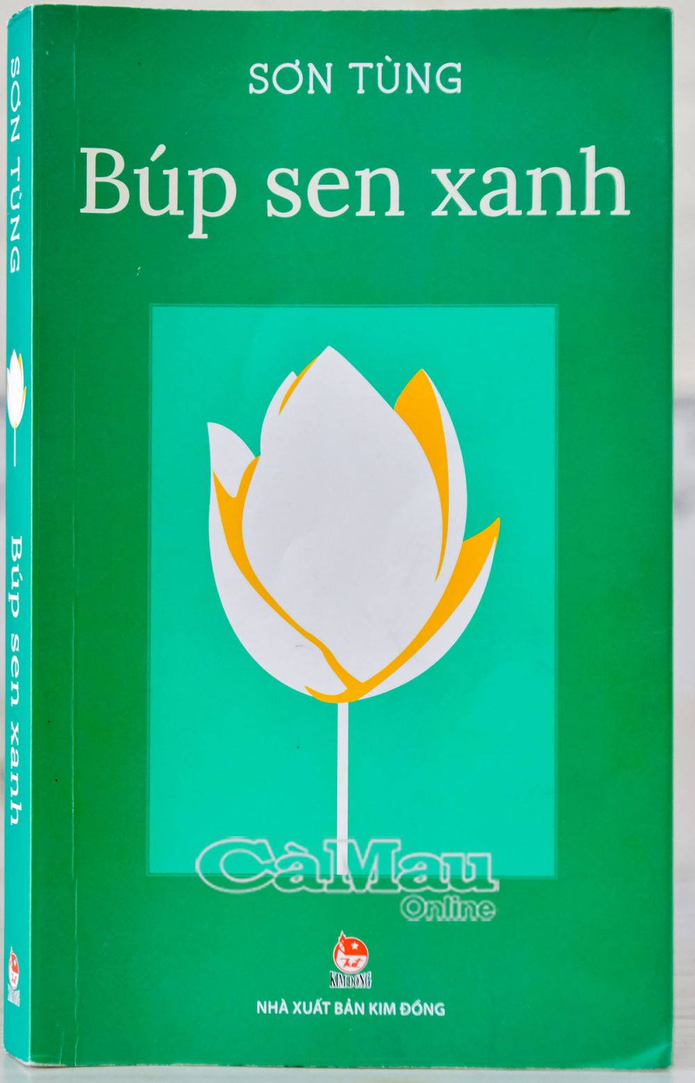 Búp Sen Xanh Đọc Online Gallery 2