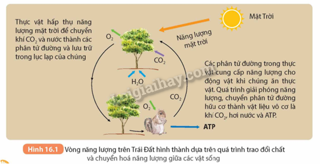 Phát biểu nào sau đây là đúng khi nói về động năng của vật? Gallery 2