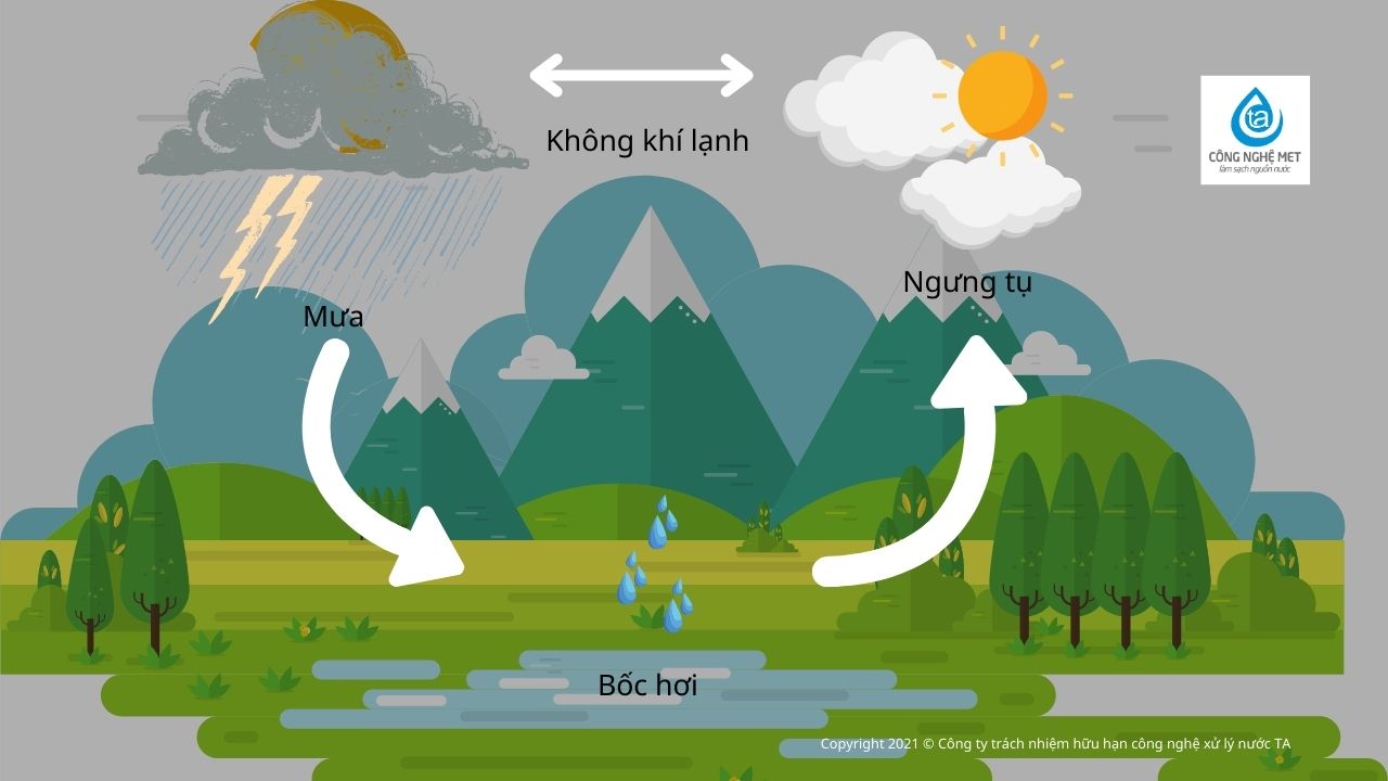 Cách Lọc Nước Mưa Đơn Giản Gallery 2