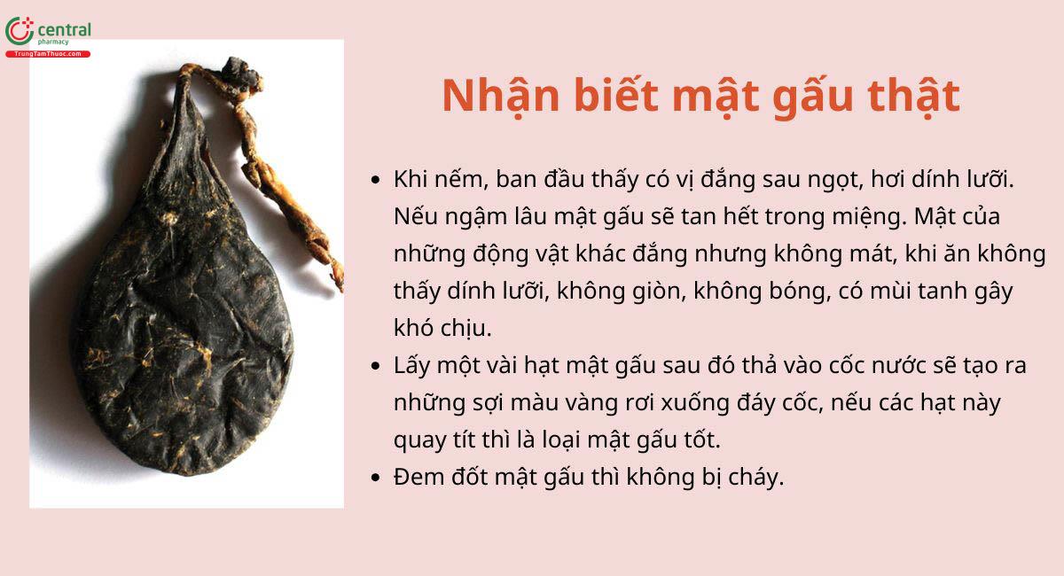 Mật Gấu Khô Giá Bao Nhiêu? Gallery 2