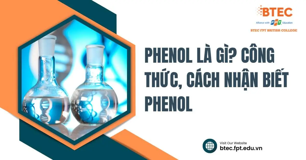 Cách Nhận Biết Phenol Gallery 2