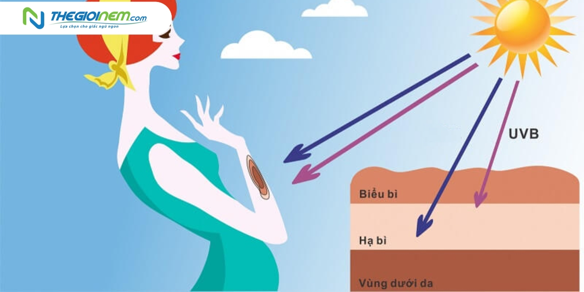 Phơi nắng sáng mấy giờ là tốt? Gallery 2